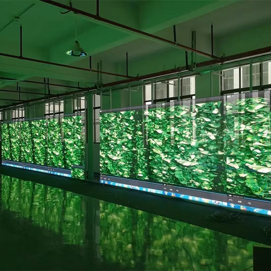 3D LED Transparent Screen for Video Advertising for Shop Mall