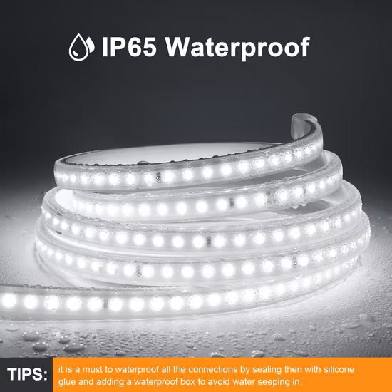 High Voltage Waterresistant LED Strip for Christmas Holiday