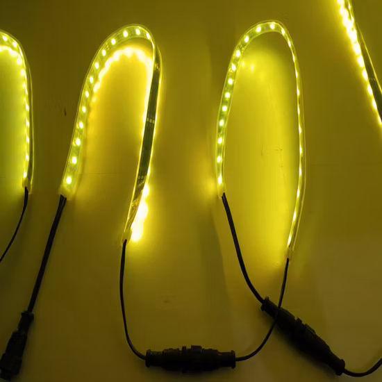 DMX Flexible LED Strip Light 48 LEDs 16 Pixels