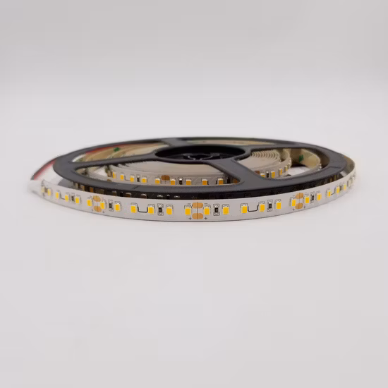 SMD5050/2835 60LED/120LED Bassa tensione DC 12V 24V Alta tensione AC 110V/220V IP68 Striscia LED flessibile impermeabile