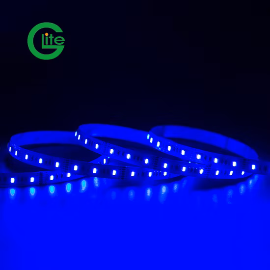 Cinque anni di garanzia, scrittura automatica degli indirizzi DMX, strip LED DMX512 RGBW
