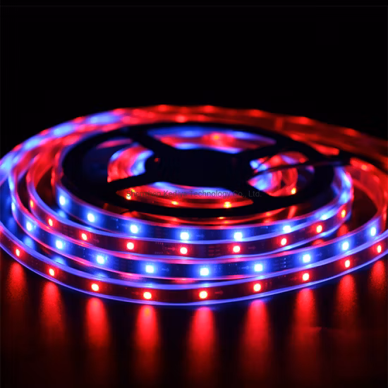 Striscia LED Ws2811 LED Pixel Striscia LED programmabile 12V