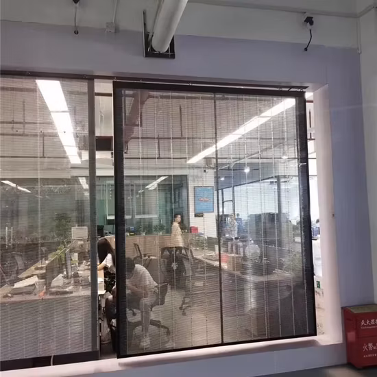 Schermo pubblicitario video LED 3D trasparente per centro commerciale