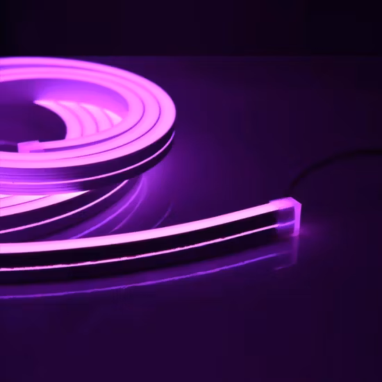 La più recente striscia LED al neon ad alta tensione 220 V 110 V 12 V 24 V SMD 2835 120 LED/M 6x12 mm