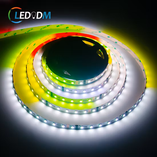 Striscia LED RGB 24V 2835 120Led/M 6mm 10W/M Striscia LED Dmx RGB indirizzabile Striscia LED magica