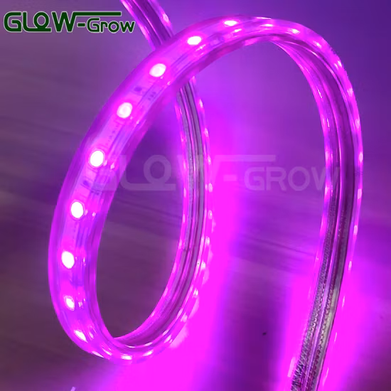 Striscia LED ad alta tensione monocolore 72 LED / M SMD2835 per bar di Natale, decorazione del club di casa