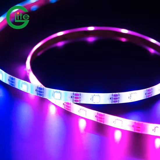 Ws2812b 30LED IP67 impermeabile DMX illuminazione LED Pixel Strip RGB LED Pixel RGB Ws2812b Strip